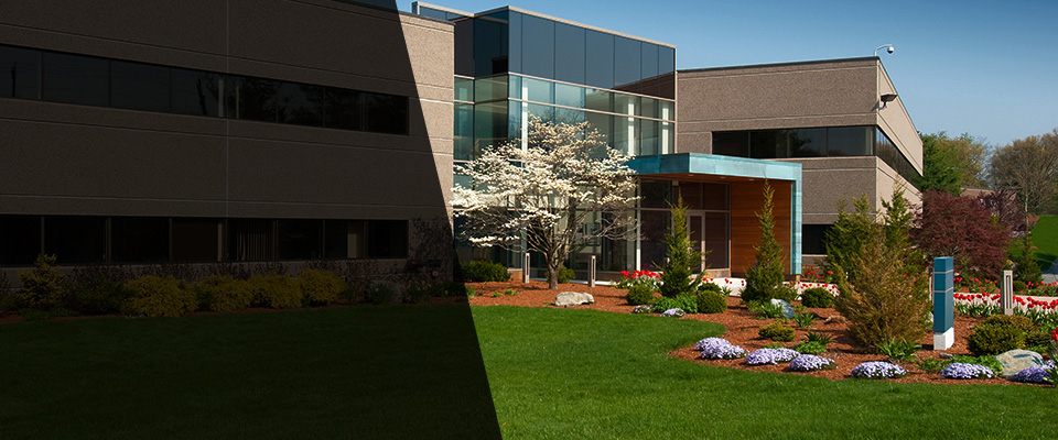 Annapolis Landscapers