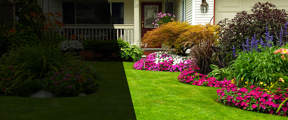 Annapolis Landscapers