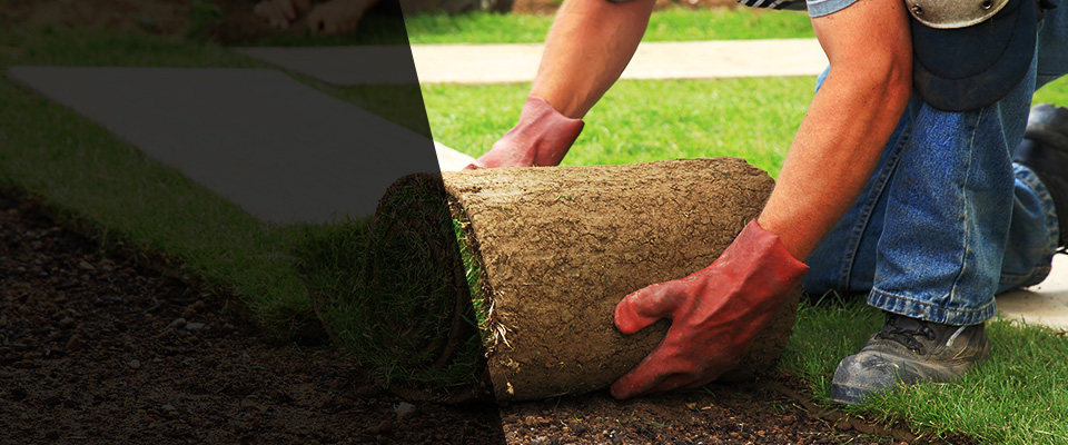 Annapolis Landscapers